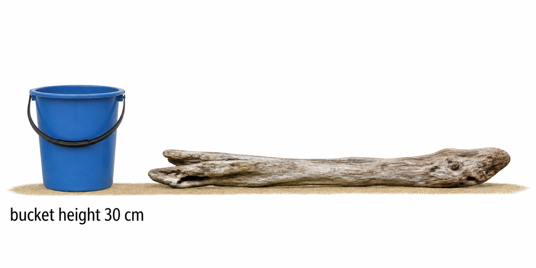 A 30-centimetre-high cleaning bucket stands beside a fully visible piece of driftwood at the same depth. The driftwood appears about three and a half bucket heights long.